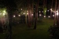 WYNAJEM | Girlanda świetlna na event, wesele, urodziny | WSDJ Studio